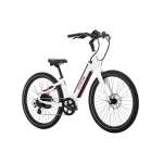 Aventon Pace v Step Thru E Bike drygrf