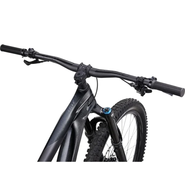 Giant Reign Advanced Pro Carbon Mountain Bike tyesr