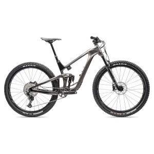 Giant Trance Advanced Pro Mountain Bike Gray