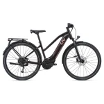 Liv Amiti E+ MPH E Bike Brown