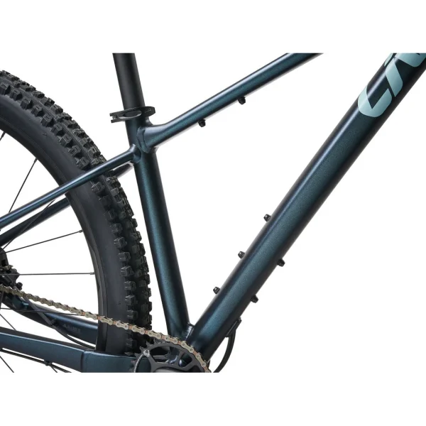 Liv Lurra Mountain Bike rtgwerg