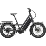 Specialized Globe ST Electric Bike black