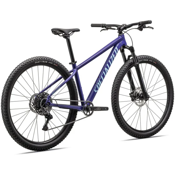 Specialized Rockhopper Comp regweg