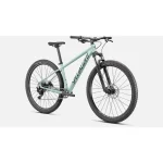 Specialized Rockhopper Comp Mountain Bike tryergwe