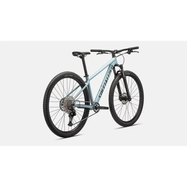 Specialized Rockhopper Elite Mountain Bike erwtgweg