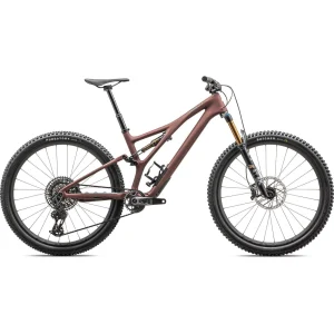 Specialized StumpJumper Pro Full Suspension Mountain Bike Rust