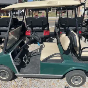 Club Car DS Golf Cart