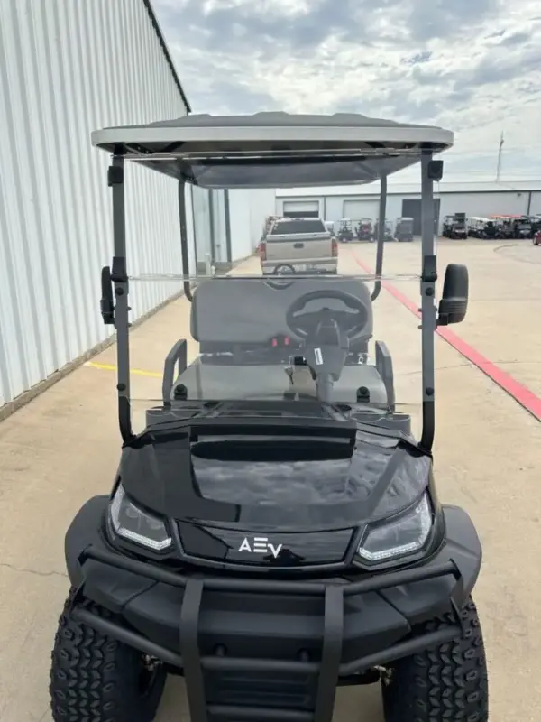 Advanced EV Passenger Lifted Golf Cart