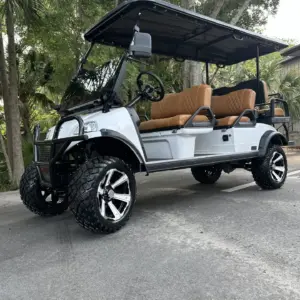 Brand New Custom LITHIUM Powered Forester Plus Golf Cart