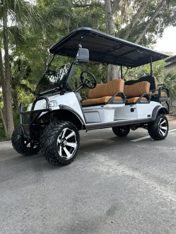 Brand New Custom LITHIUM Powered Forester Plus Golf Cart