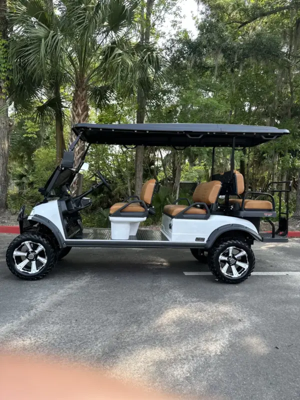 Brand New Custom LITHIUM Powered Forester Plus Golf Cart