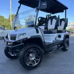 Brand New LITHIUM Powered D Maverick Golf Cart