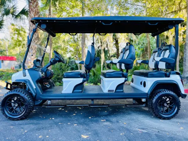 Fully Customized D Maverick Seat Golf Cart