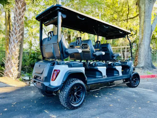 Fully Customized D Maverick Seat Golf Cart