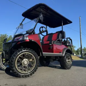 New Custom Forester Plus Golf Cart