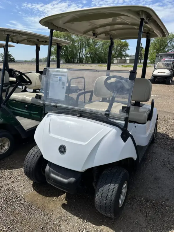 White Yamaha Drive Electric Passenger